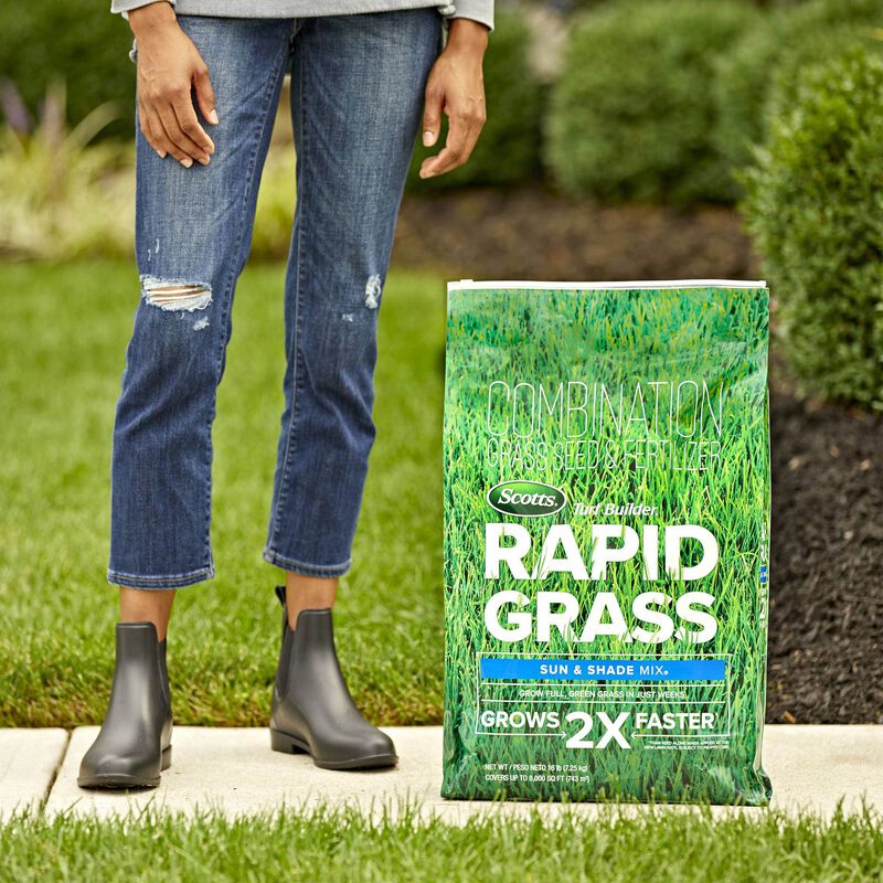Scotts&reg; Turf Builder&reg; Rapid Grass&trade; Sun & Shade Mix image number null