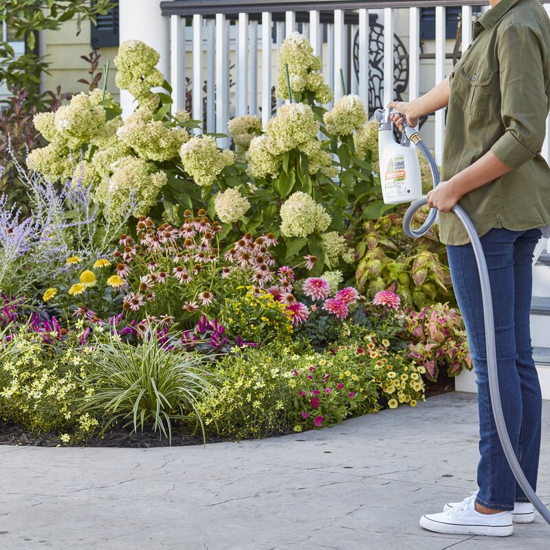 Ortho&reg; Home Defense&reg; Mosquito Killer with Essential Oils Ready-To-Spray image number null