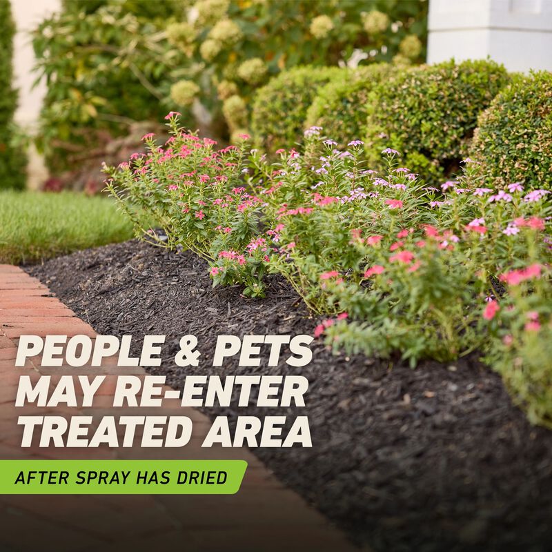 Ortho&reg; GroundClear&reg; Weed & Grass Killer with Comfort Wand&reg; image number null