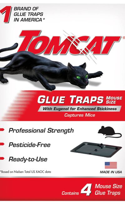 Tomcat&reg; Glue Traps Mouse Size with Eugenol for Enhanced Stickiness