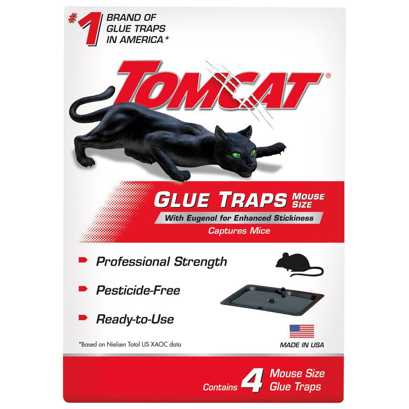 Tomcat&reg; Glue Traps Mouse Size with Eugenol for Enhanced Stickiness image number null