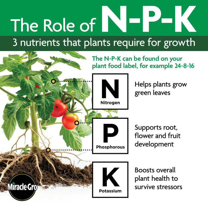Miracle-Gro Organic&trade; All Purpose Plant Food image number null