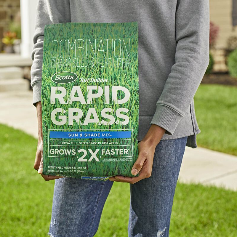 Scotts&reg; Turf Builder&reg; Rapid Grass&trade; Sun & Shade Mix image number null