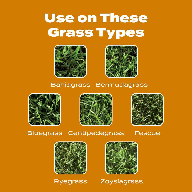 Scotts&reg; Turf Builder&reg; WinterGuard&reg; Fall Weed & Feed₅ image number null