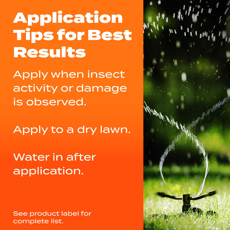 Scotts&reg; Turf Builder&reg; SummerGuard&reg; Lawn Food with Insect Control image number null