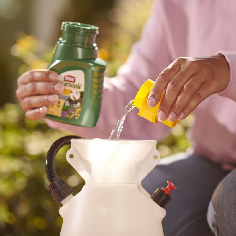 Ortho&reg; MAX&reg; Malathion Insect Spray Concentrate image number null