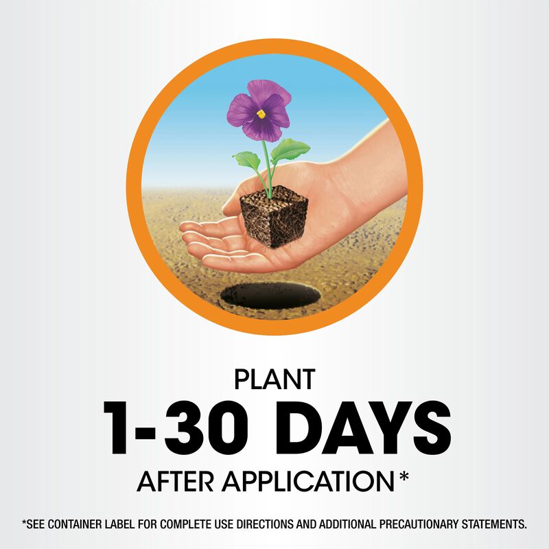 Roundup&reg; Poison Ivy Plus Tough Brush Killer₂ with Comfort Wand&reg; image number null