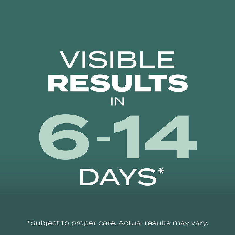 Scotts&reg; Turf Builder&reg; Grass Seed Dense Shade Mix image number null