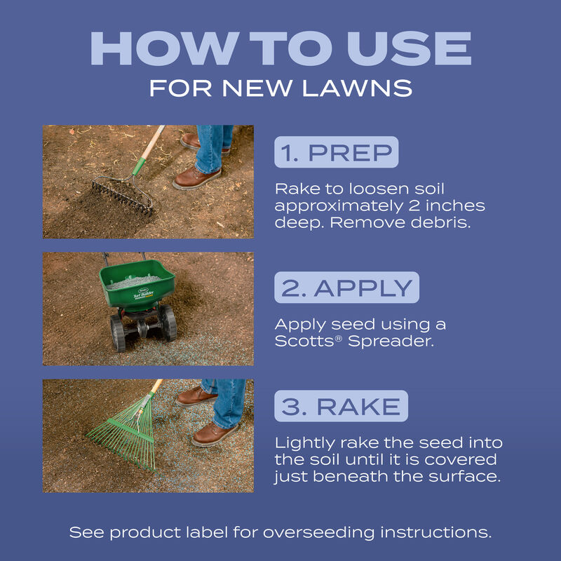 Scotts&reg; Turf Builder&reg; Grass Seed Heat-Tolerant Blue&reg; Mix for Tall Fescue Lawns image number null