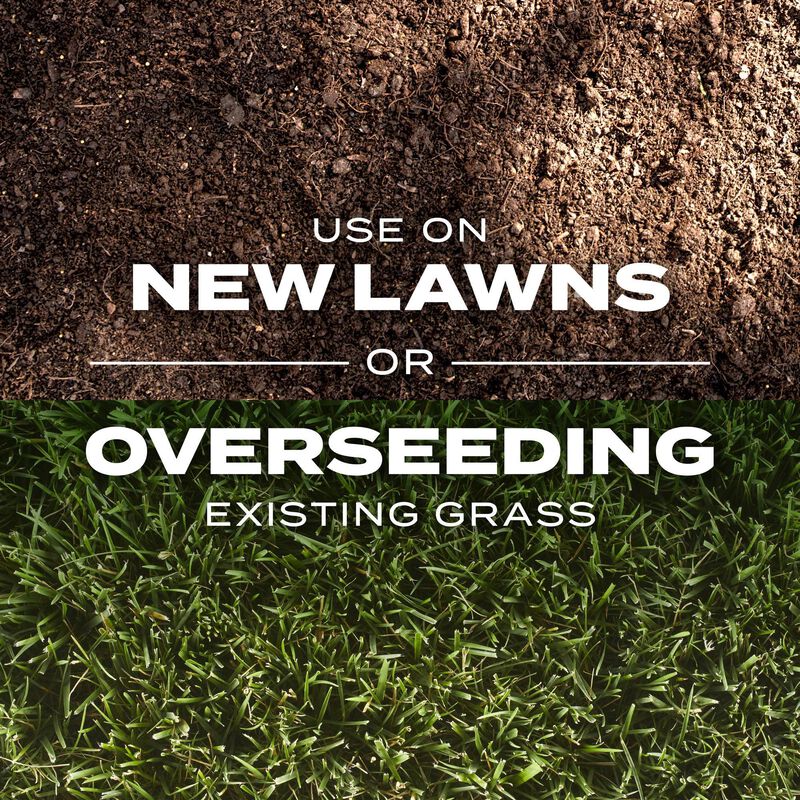 Scotts&reg; Turf Builder&reg; Rapid Grass&trade; Tall Fescue Mix image number null