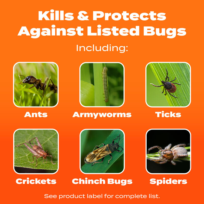 Scotts&reg; Turf Builder&reg; SummerGuard&reg; Lawn Food with Insect Control image number null