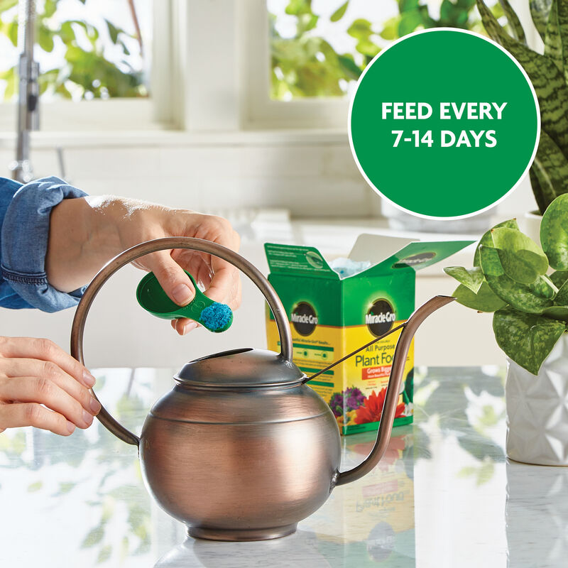 Miracle-Gro&reg; Moisture Control Potting Mix and Miracle-Gro&reg; Water Soluble All Purpose Plant Food image number null