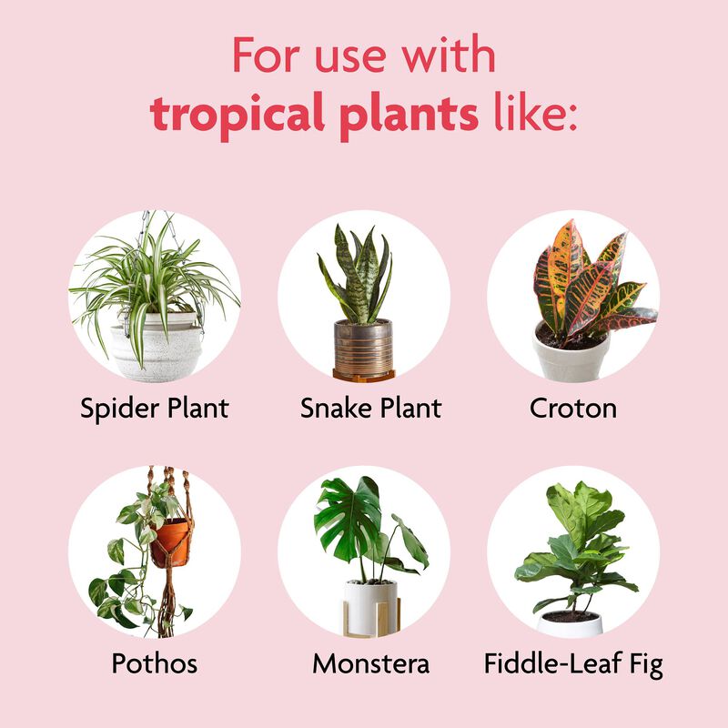 Miracle-Gro&reg; Tropical Houseplant Food image number null