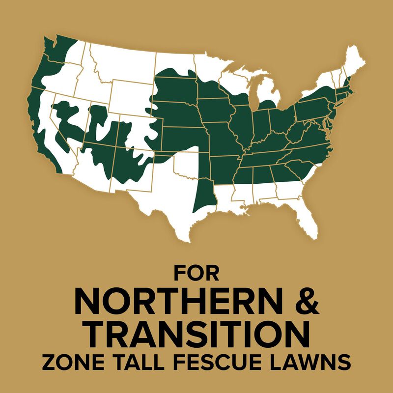 Scotts&reg; EZ Seed&reg; Patch & Repair Tall Fescue Lawns image number null