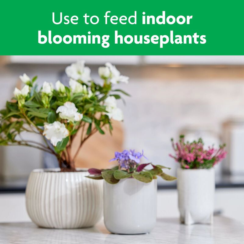 Miracle-Gro&reg; Blooming Houseplant Food image number null