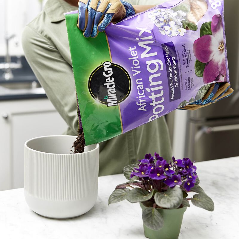 Miracle-Gro&reg; African Violet Potting Mix image number null