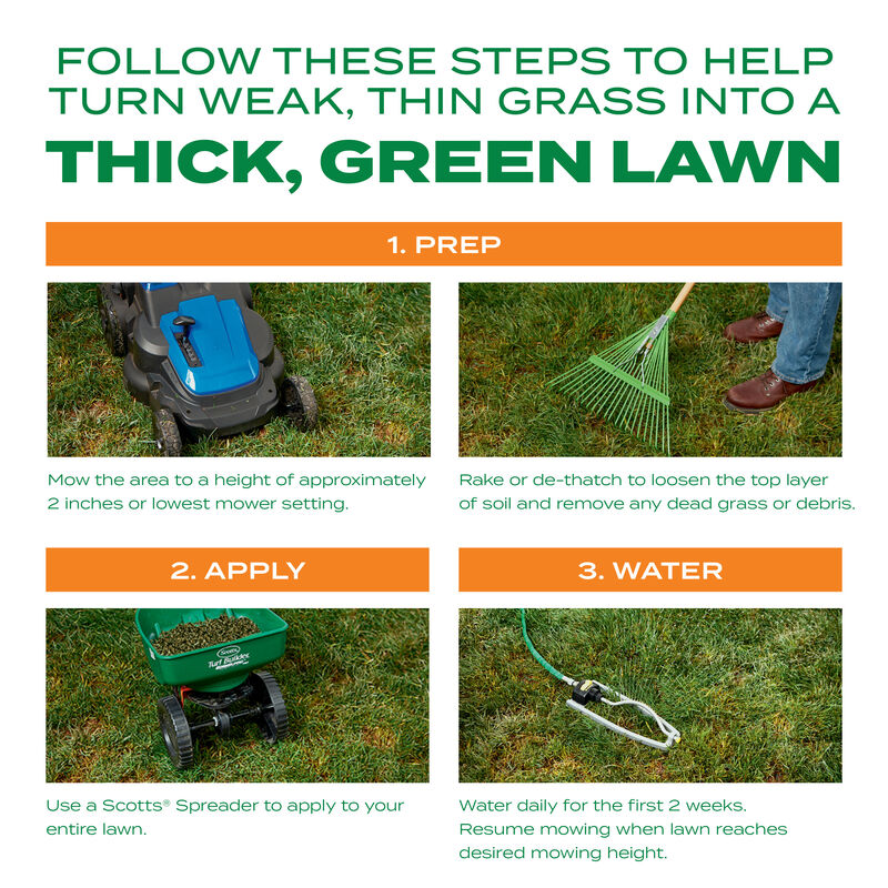 Scotts&reg; Turf Builder&reg; Thick'R Lawn&reg; Bermudagrass image number null