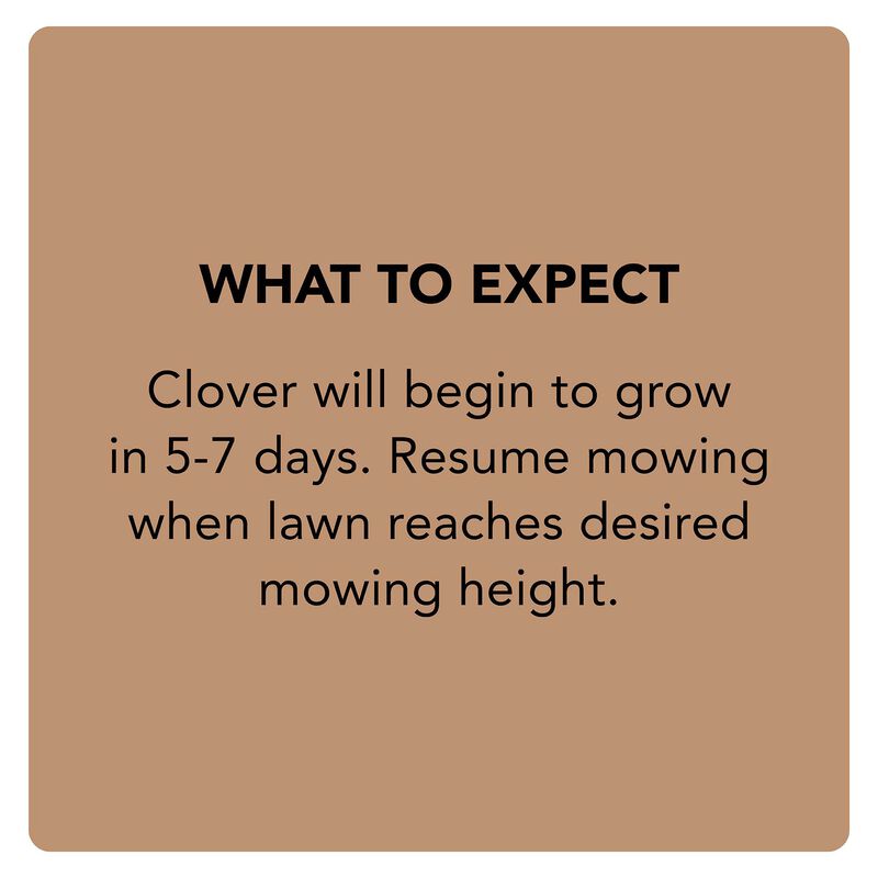 Scotts&reg; Turf Builder&reg; Clover Lawn image number null