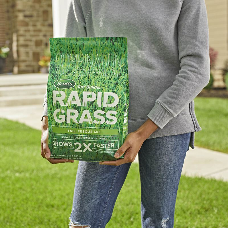 Scotts&reg; Turf Builder&reg; Rapid Grass&trade; Tall Fescue Mix image number null