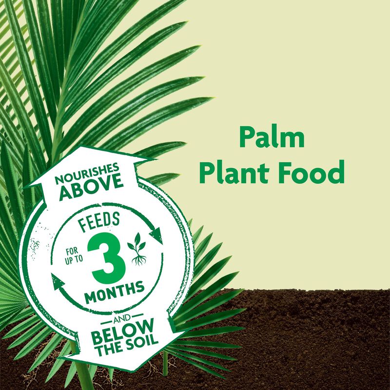 Miracle-Gro&reg; Shake 'N Feed Palm Plant Food image number null
