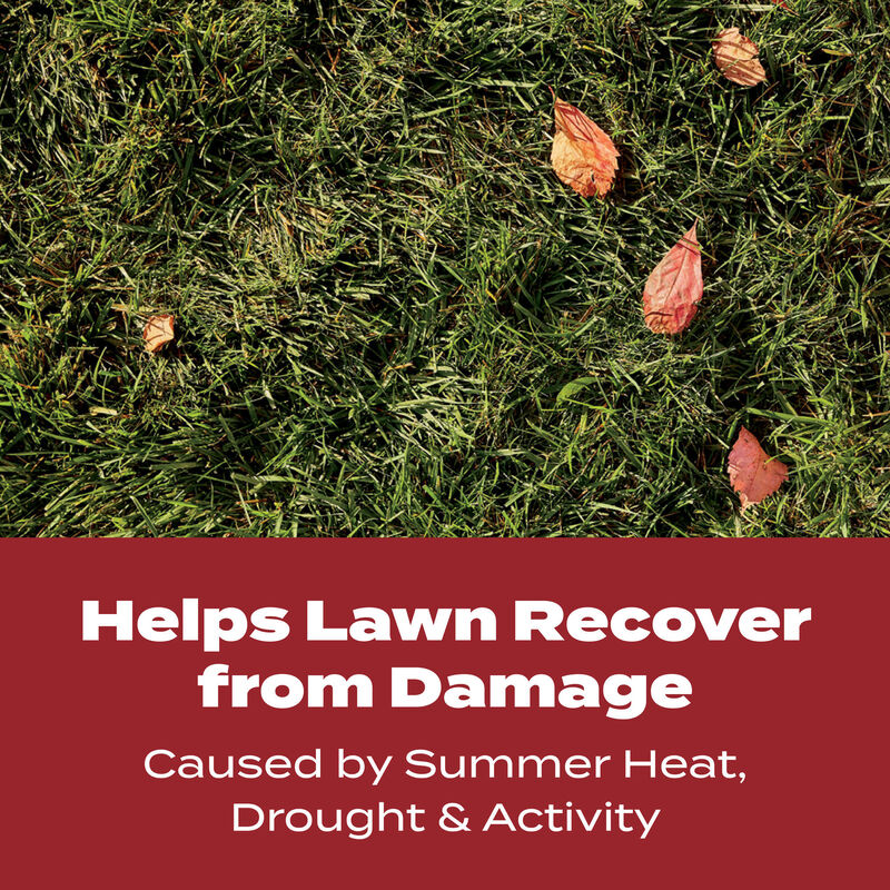 Scotts&reg; Turf Builder&reg; WinterGuard&reg; Fall Lawn Food image number null