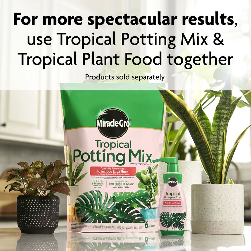 Miracle-Gro&reg; Tropical Houseplant Food image number null