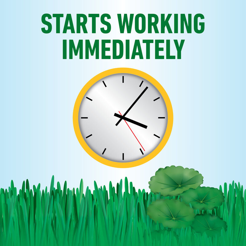 Roundup&reg; for Lawns₄ Ready-To-Use (Southern) image number null