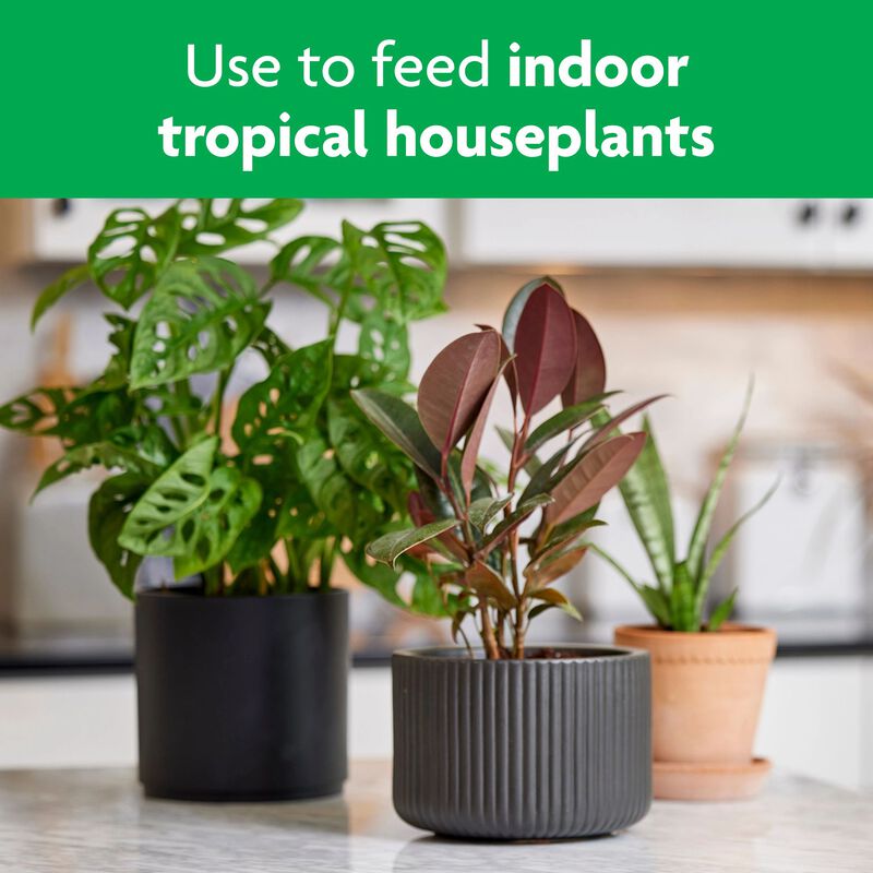 Miracle-Gro&reg; Tropical Houseplant Food image number null