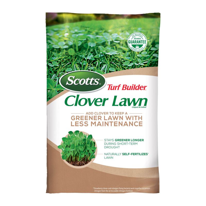 Scotts&reg; Turf Builder&reg; Clover Lawn image number null