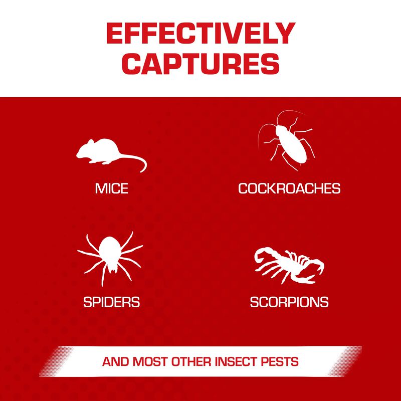 Tomcat&reg; Glue Traps Mouse Size with Eugenol for Enhanced Stickiness image number null