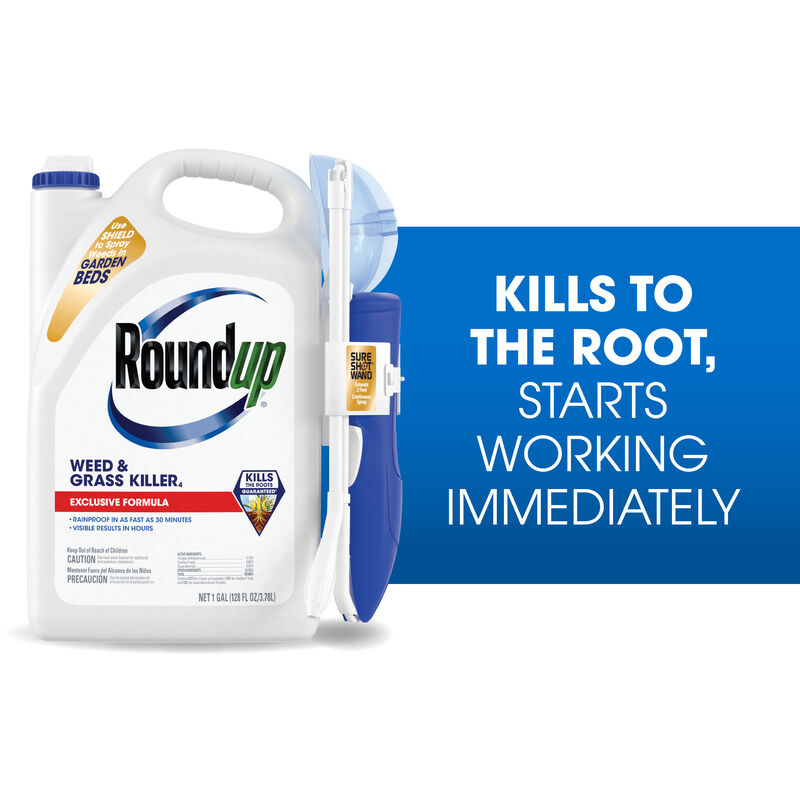 Roundup&reg; Weed & Grass Killer₄ with Sure Shot Wand&reg; image number null