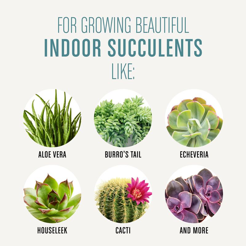 Miracle-Gro&reg; Succulent Potting Mix image number null