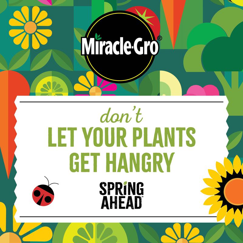 Miracle-Gro&reg; Spring Ahead image number null