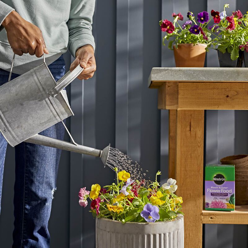 Miracle-Gro&reg; Water Soluble Bloom Booster&reg; Flower Food image number null