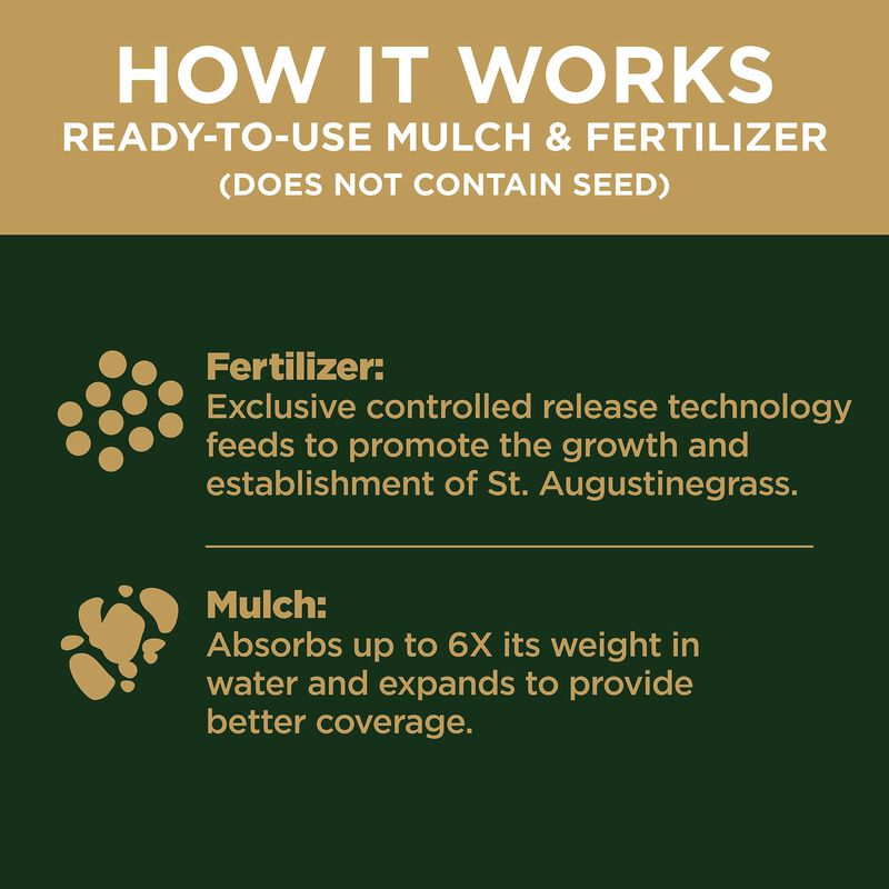 Scotts&reg; EZ Patch&trade;️ Lawn Repair for St. Augustine Lawns image number null