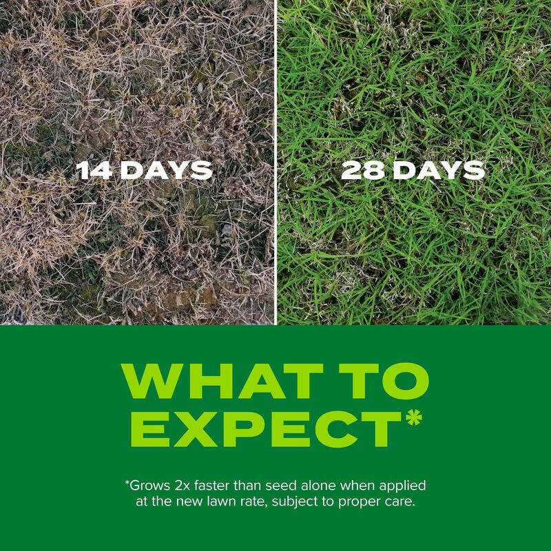 Scotts&reg; Turf Builder&reg; Rapid Grass&trade; Bermudagrass image number null