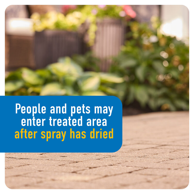 Roundup&reg; Dual Action Weed & Grass Killer Plus 4 Month Preventer QuickHand&trade; image number null