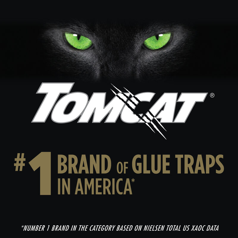 Tomcat&reg; Advanced Glue Trap System Rat Size Covered Glue Traps image number null