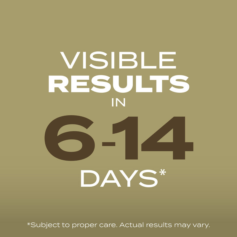 Scotts&reg; Turf Builder&reg; Grass Seed Southern Gold&reg; Mix for Tall Fescue Lawns image number null