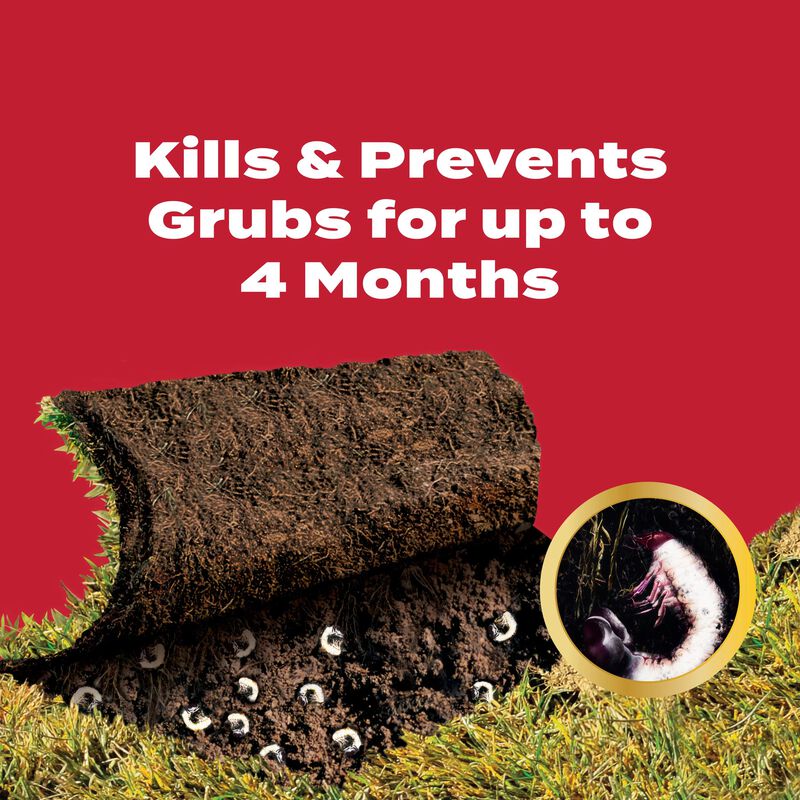 Scotts&reg; GrubEx&reg;₁ Season Long Grub Killer image number null