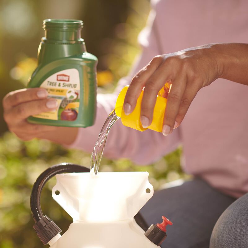 Ortho&reg; Tree & Shrub Fruit Tree Spray image number null