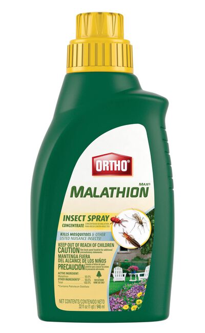 Ortho&reg; MAX&reg; Malathion Insect Spray Concentrate