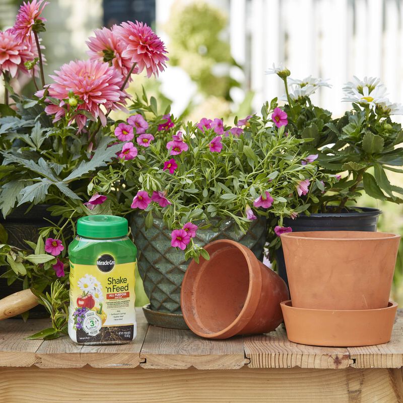 Miracle-Gro&reg; Shake 'N Feed All Purpose Plant Food image number null