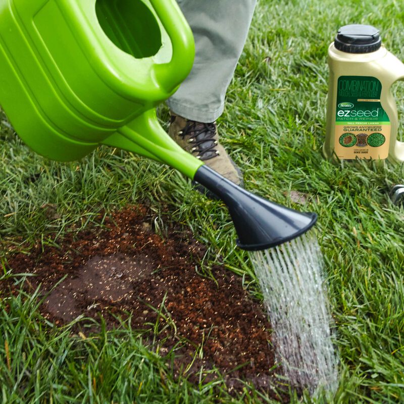 Scotts&reg; EZ Seed&reg; Patch & Repair Tall Fescue Lawns image number null