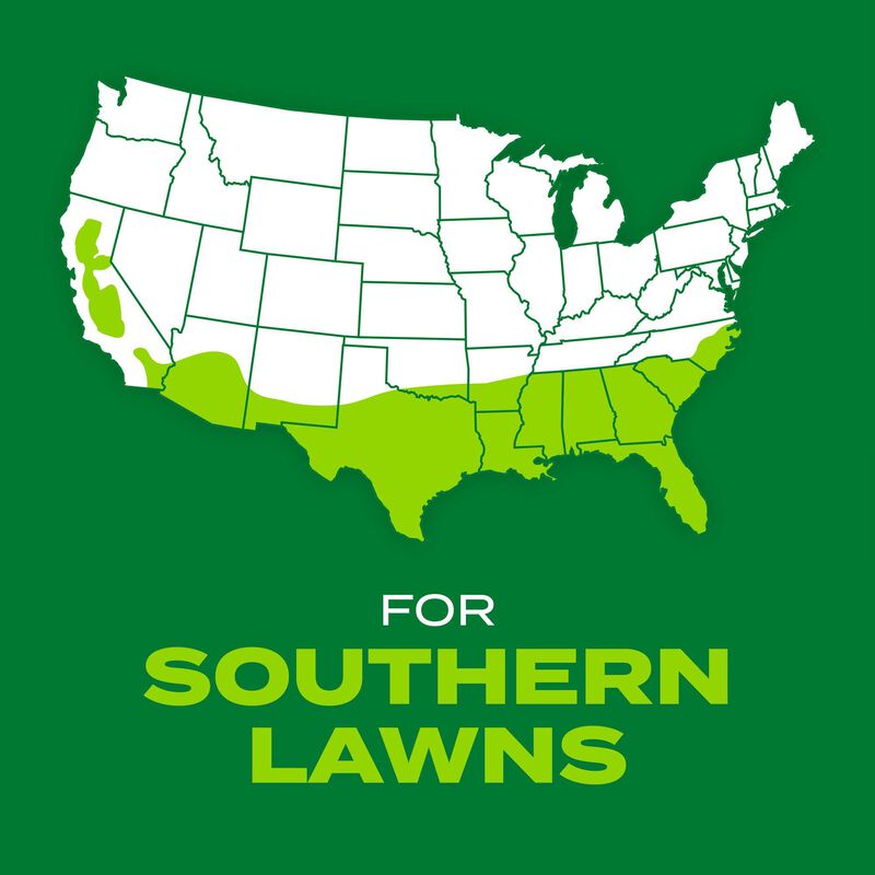 Scotts&reg; Turf Builder&reg; Rapid Grass&trade; Bermudagrass image number null