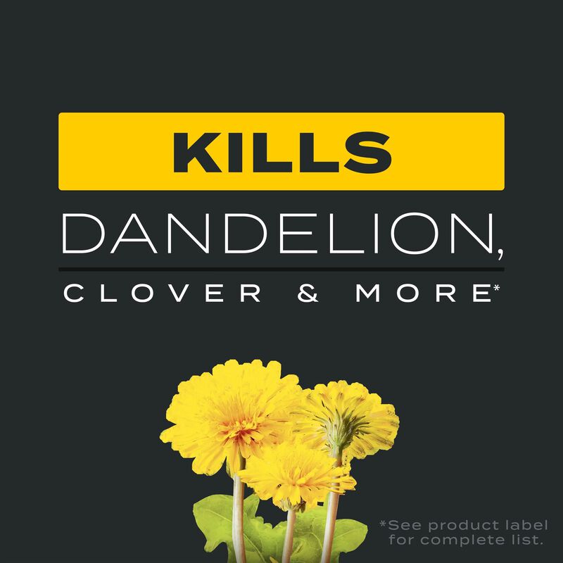 Scotts&reg; Turf Builder&reg; Triple Action₁ image number null