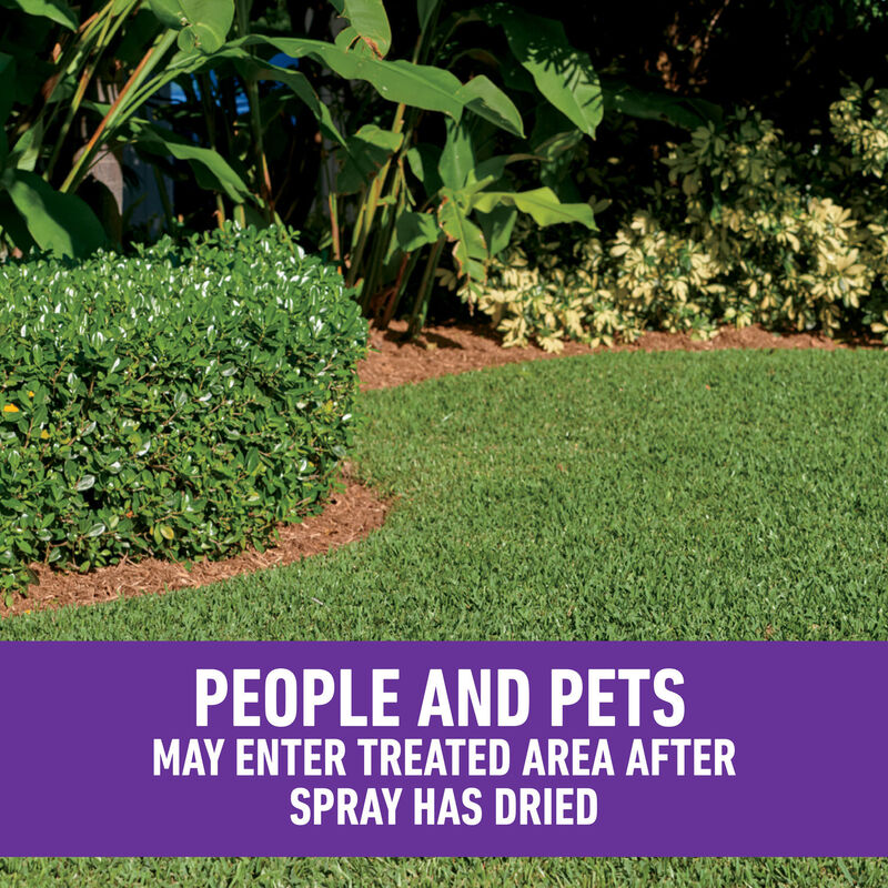 Roundup&reg; for Lawns₄ Ready-To-Use (Southern) image number null