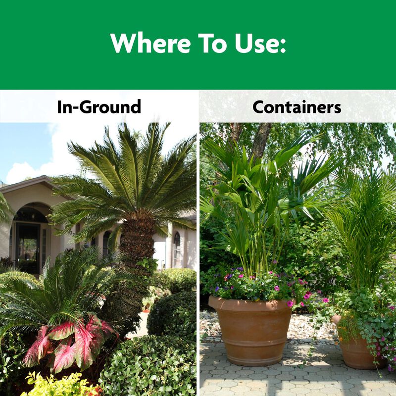 Miracle-Gro&reg; Shake 'N Feed Palm Plant Food image number null