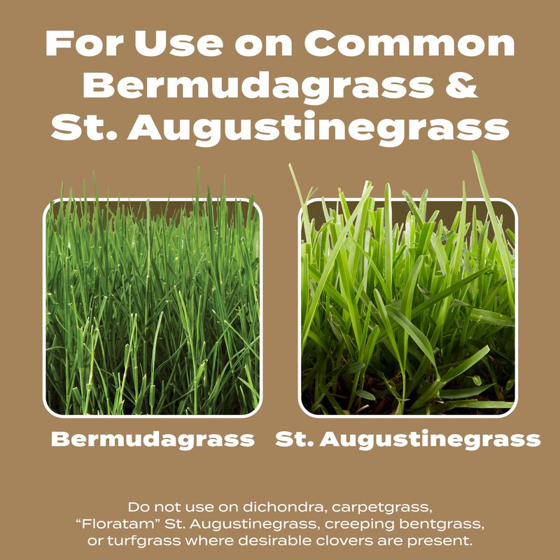 Scotts&reg; Turf Builder&reg; Weed & Feed for Texas Lawns image number null