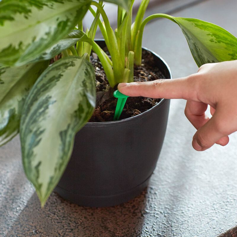 Miracle-Gro&reg; Indoor Plant Food Spikes image number null